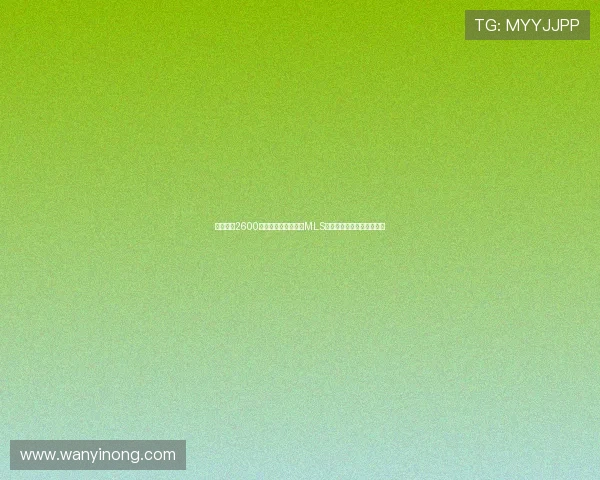 孙兴慜以2600万美元转会洛杉矶创MLS历史纪录最快周三正式宣布 孙兴慜以2600万美元转会洛杉矶创MLS历史纪录最快周三正式宣布