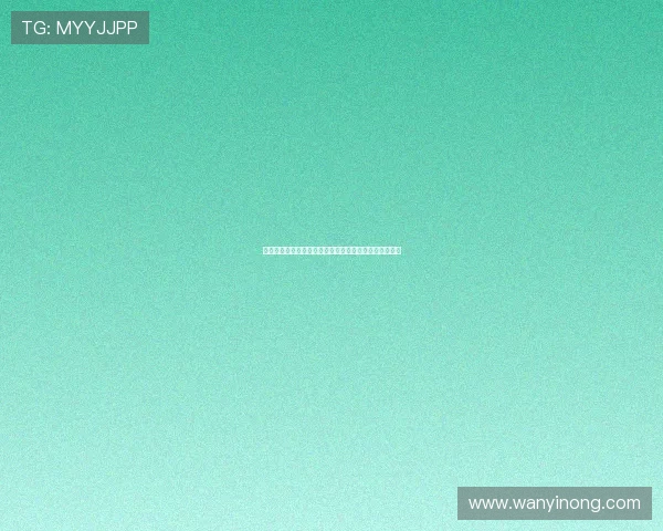 以第戎为起点探访法国布根地的历史遗迹与美食文化之旅 以第戎为起点探访法国布根地的历史遗迹与美食文化之旅